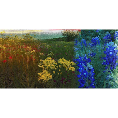 36x72 Wildflower Panorama (ASH) Black Modern Wood Framed Art Print by Jasper, Sisa