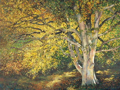 Golden Light I White Modern Wood Framed Art Print with Double Matting by Reynolds, Graham
