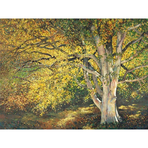 Golden Light I Black Modern Wood Framed Art Print by Reynolds, Graham