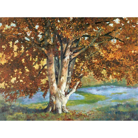 Golden Light II Black Modern Wood Framed Art Print with Double Matting by Reynolds, Graham