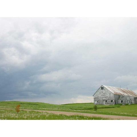 Barn Scape I Black Modern Wood Framed Art Print with Double Matting by Blixt, Ingrid