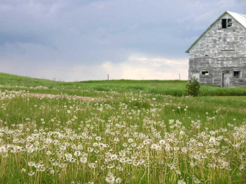 Barn Scape II White Modern Wood Framed Art Print with Double Matting by Blixt, Ingrid