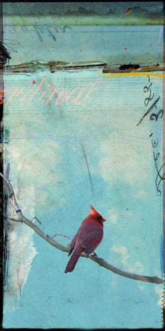 Bird Window I White Modern Wood Framed Art Print with Double Matting by Blixt, Ingrid