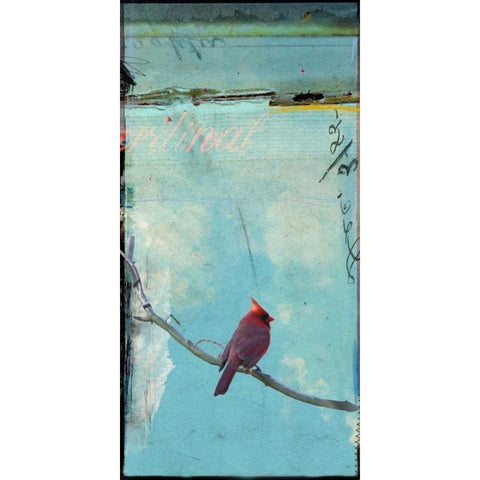 Bird Window I Black Modern Wood Framed Art Print with Double Matting by Blixt, Ingrid