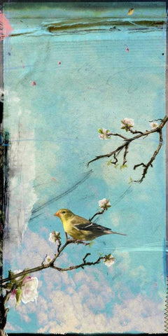 Bird Window II White Modern Wood Framed Art Print with Double Matting by Blixt, Ingrid