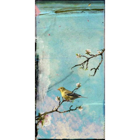 Bird Window II Black Modern Wood Framed Art Print with Double Matting by Blixt, Ingrid