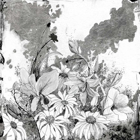 Izas Garden II Black Modern Wood Framed Art Print by Blixt, Ingrid