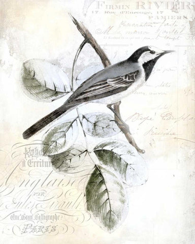 Rustic Gould I Black Ornate Wood Framed Art Print with Double Matting by Studio W