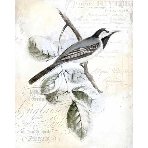 Rustic Gould I Black Modern Wood Framed Art Print by Studio W