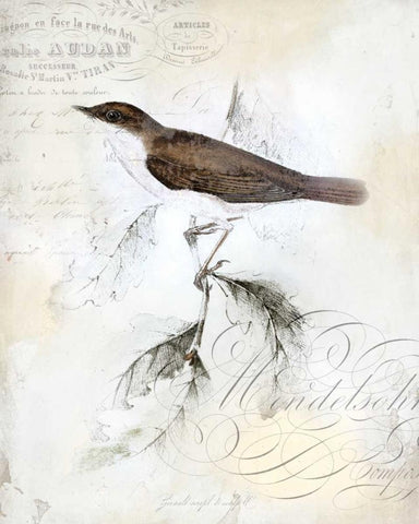 Rustic Gould II Black Ornate Wood Framed Art Print with Double Matting by Studio W