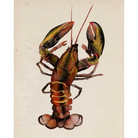 Sea Dweller II Gold Ornate Wood Framed Art Print with Double Matting by Popp, Grace