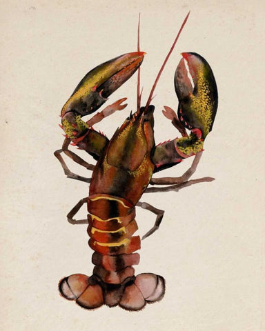 Sea Dweller II Black Ornate Wood Framed Art Print with Double Matting by Popp, Grace