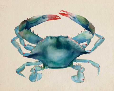 Sea Dweller III White Modern Wood Framed Art Print with Double Matting by Popp, Grace