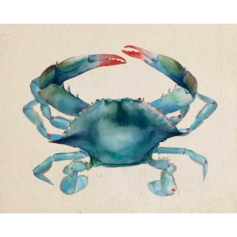 Sea Dweller III White Modern Wood Framed Art Print by Popp, Grace