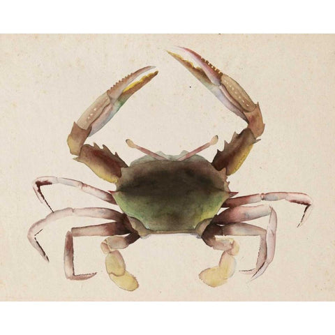 Sea Dweller IV White Modern Wood Framed Art Print by Popp, Grace