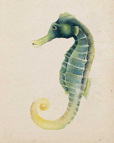 Sea Dweller V Black Ornate Wood Framed Art Print with Double Matting by Popp, Grace