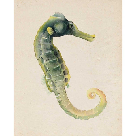 Sea Dweller VI Gold Ornate Wood Framed Art Print with Double Matting by Popp, Grace