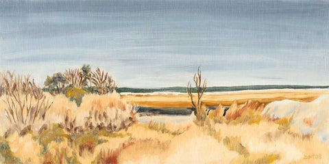 The Sound Shoreline II Black Ornate Wood Framed Art Print with Double Matting by Dianne Miller