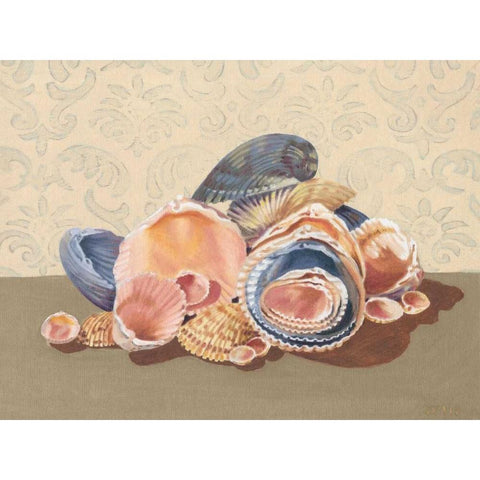 Shell Collection I White Modern Wood Framed Art Print by Miller, Dianne