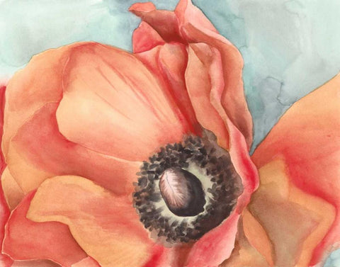 Watercolor Poppy I Black Ornate Wood Framed Art Print with Double Matting by Meagher, Megan