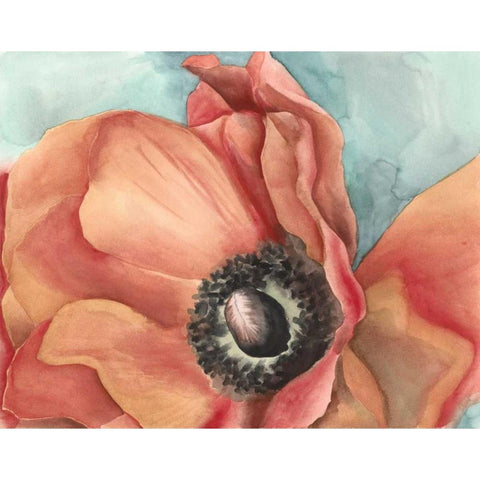 Watercolor Poppy I Black Modern Wood Framed Art Print with Double Matting by Megan Meagher
