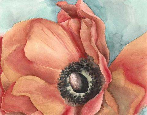 Watercolor Poppy I White Modern Wood Framed Art Print with Double Matting by Megan Meagher