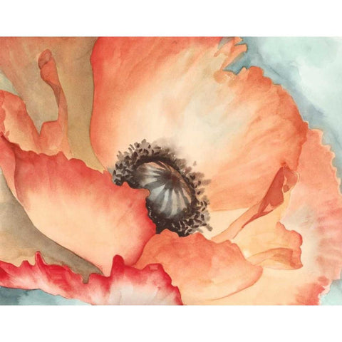 Watercolor Poppy II Black Modern Wood Framed Art Print with Double Matting by Meagher, Megan