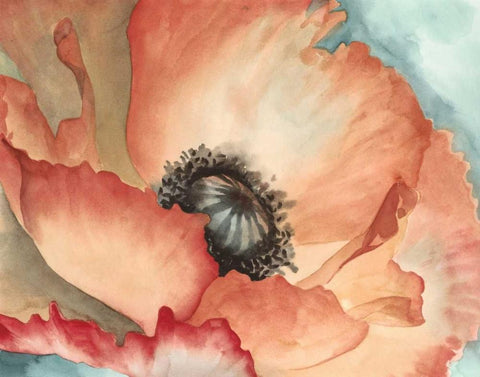 Watercolor Poppy II Black Ornate Wood Framed Art Print with Double Matting by Megan Meagher