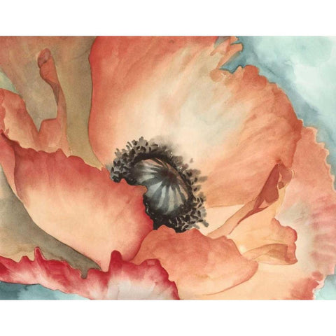 Watercolor Poppy II Black Modern Wood Framed Art Print by Megan Meagher