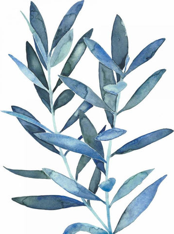 Indigo Leaves III Black Ornate Wood Framed Art Print with Double Matting by Meagher, Megan