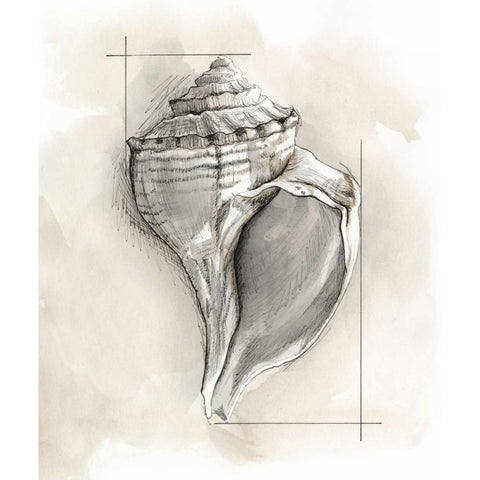 Shell Schematic I Black Modern Wood Framed Art Print by Meagher, Megan