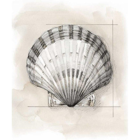 Shell Schematic III White Modern Wood Framed Art Print by Meagher, Megan