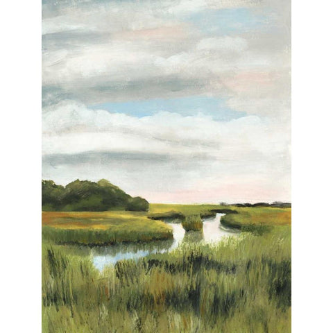 Marsh Landscapes I Black Modern Wood Framed Art Print with Double Matting by McCavitt, Naomi