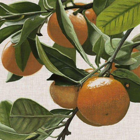 Bright Citrus I Black Ornate Wood Framed Art Print with Double Matting by McCavitt, Naomi