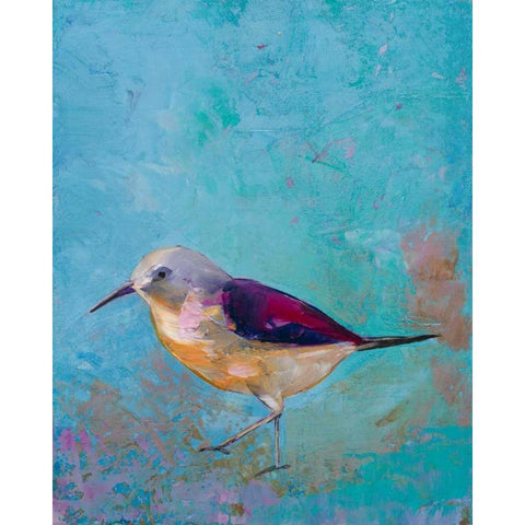 Vibrant Shorebird I Black Modern Wood Framed Art Print with Double Matting by Altug, Mehmet