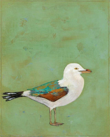 Vibrant Shorebird II White Modern Wood Framed Art Print with Double Matting by Altug, Mehmet