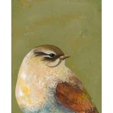 Bird Portrait I Black Modern Wood Framed Art Print by Altug, Mehmet