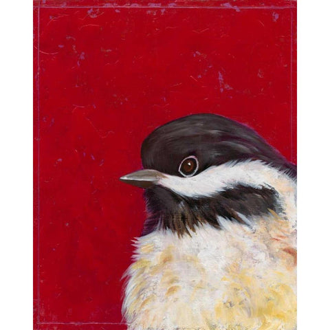 Bird Portrait II Black Modern Wood Framed Art Print with Double Matting by Altug, Mehmet