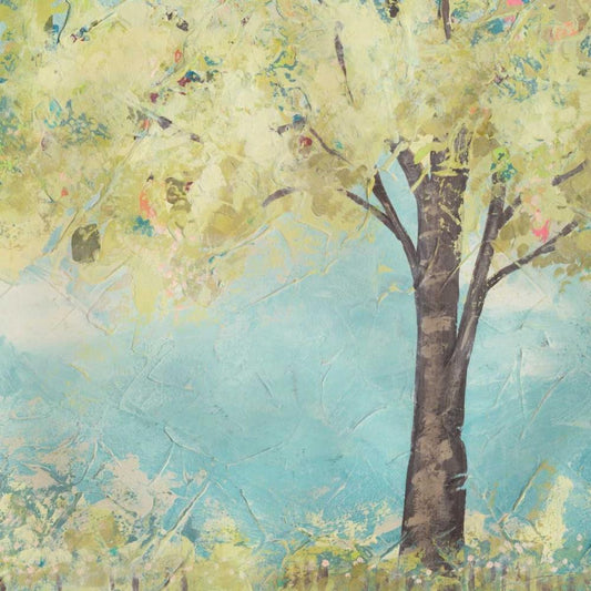 Image Only