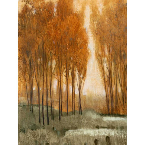 Golden Forest II White Modern Wood Framed Art Print by OToole, Tim