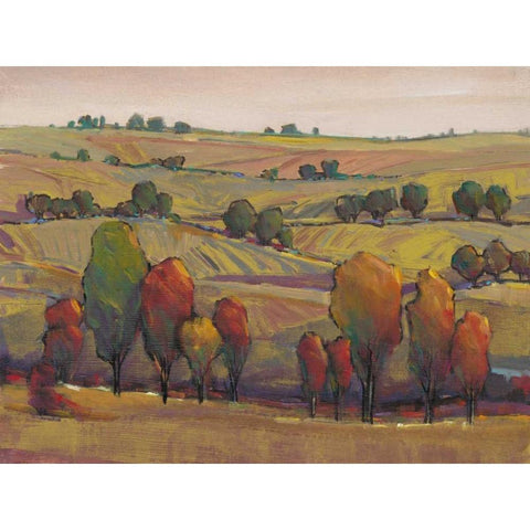 Rolling Hills I Gold Ornate Wood Framed Art Print with Double Matting by OToole, Tim