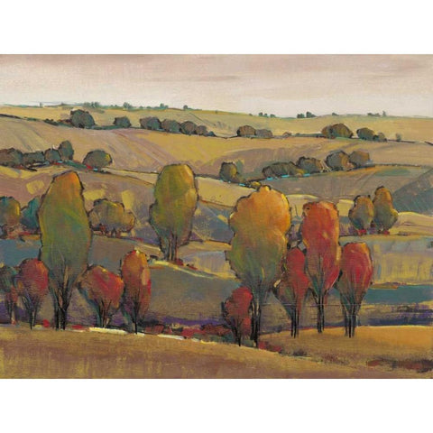 Rolling Hills II Gold Ornate Wood Framed Art Print with Double Matting by OToole, Tim