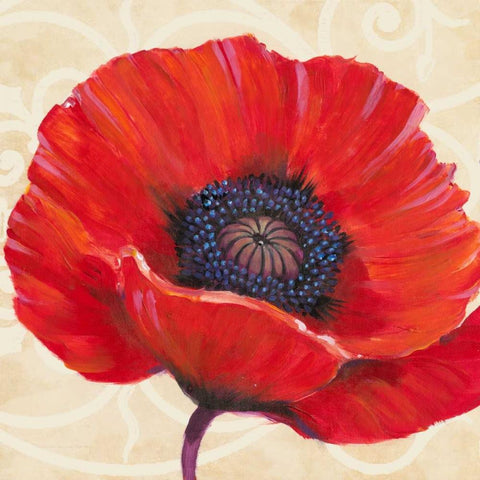 Red Poppy I White Modern Wood Framed Art Print with Double Matting by OToole, Tim