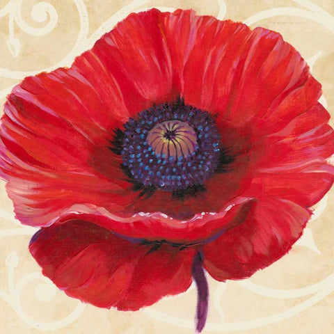 Red Poppy II Black Ornate Wood Framed Art Print with Double Matting by OToole, Tim