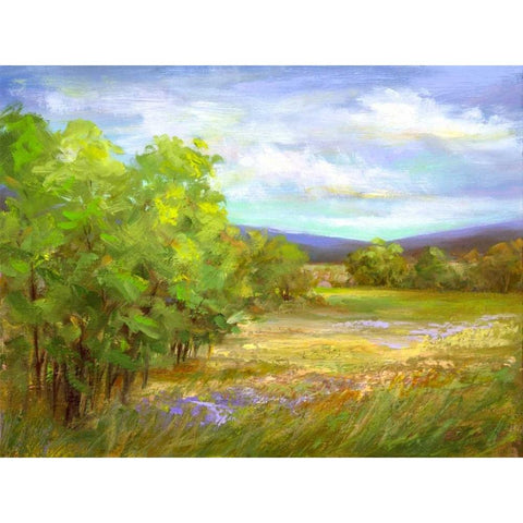 Meadow Flowers Black Modern Wood Framed Art Print by Finch, Sheila