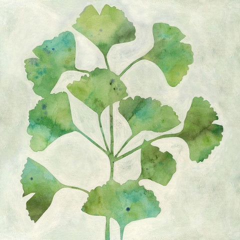 Ginkgo Green I Black Modern Wood Framed Art Print by Meagher, Megan