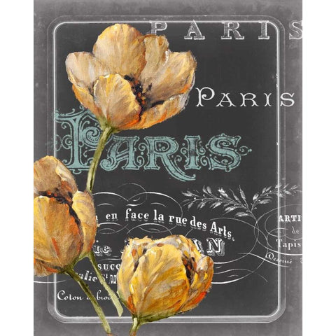 Chalkboard Paris II Black Modern Wood Framed Art Print with Double Matting by Studio W