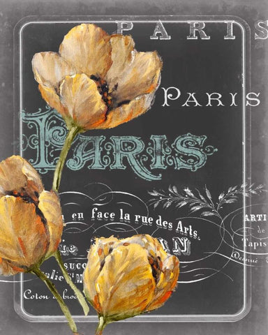 Chalkboard Paris II White Modern Wood Framed Art Print with Double Matting by Studio W