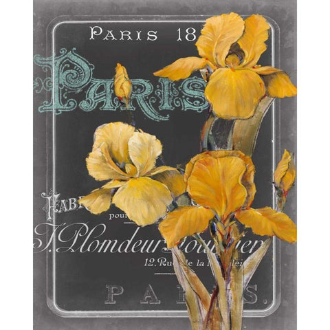 Chalkboard Paris IV White Modern Wood Framed Art Print by Studio W