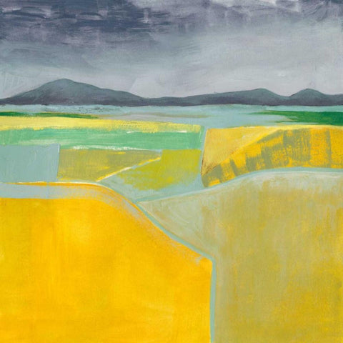 Golden Valley II Black Modern Wood Framed Art Print with Double Matting by Popp, Grace